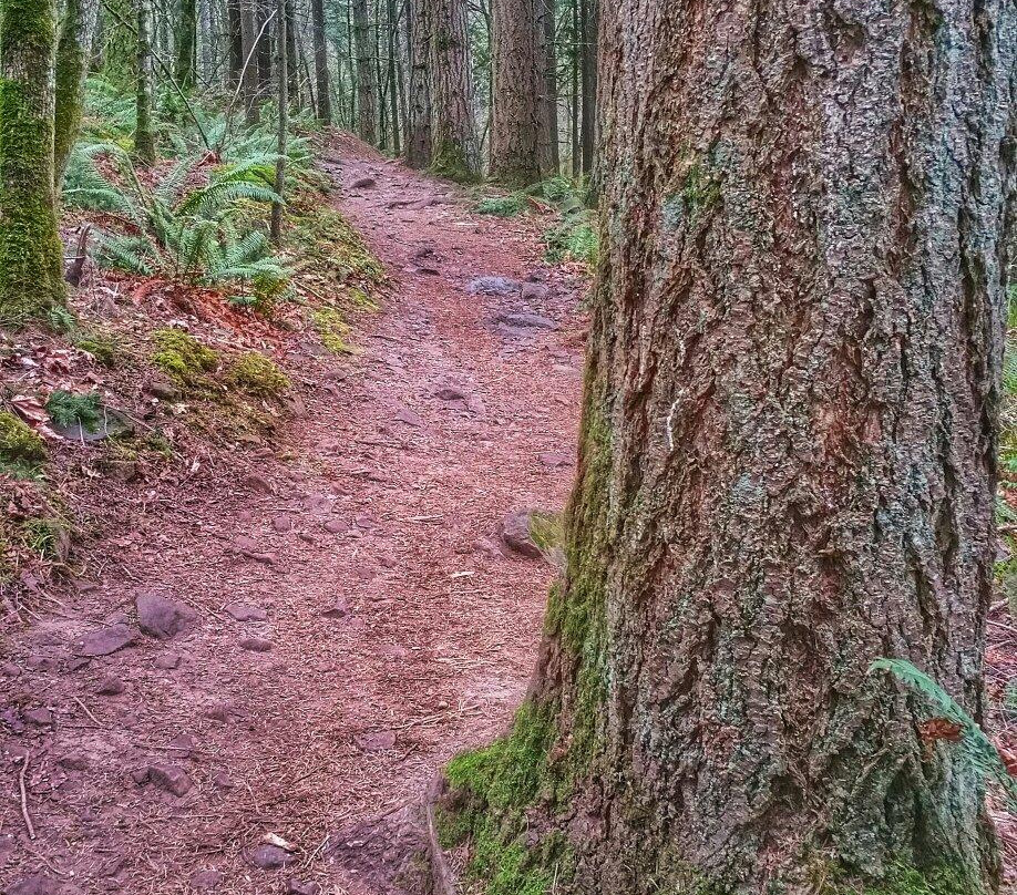 Mount Talbert Nature Park-Clackamas必去景点