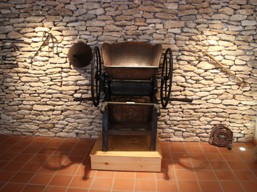 Museo Torre del Vino景点图片