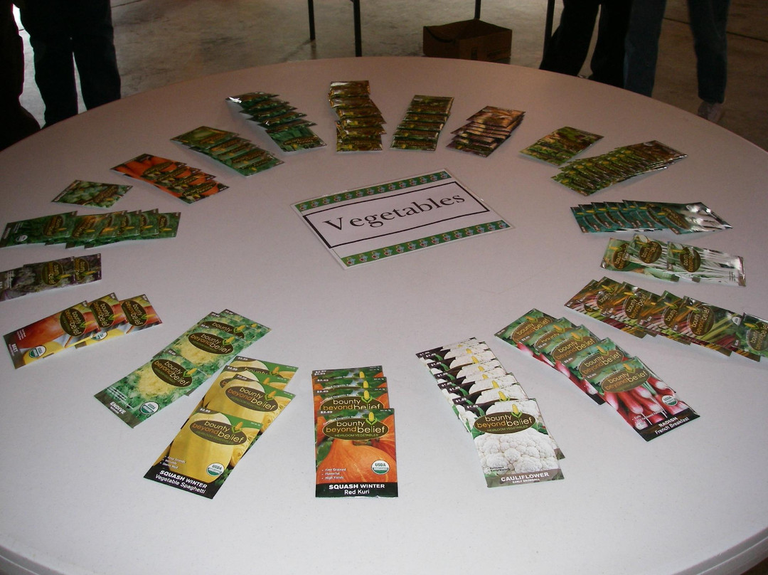 Landmark Park-多森必去景点