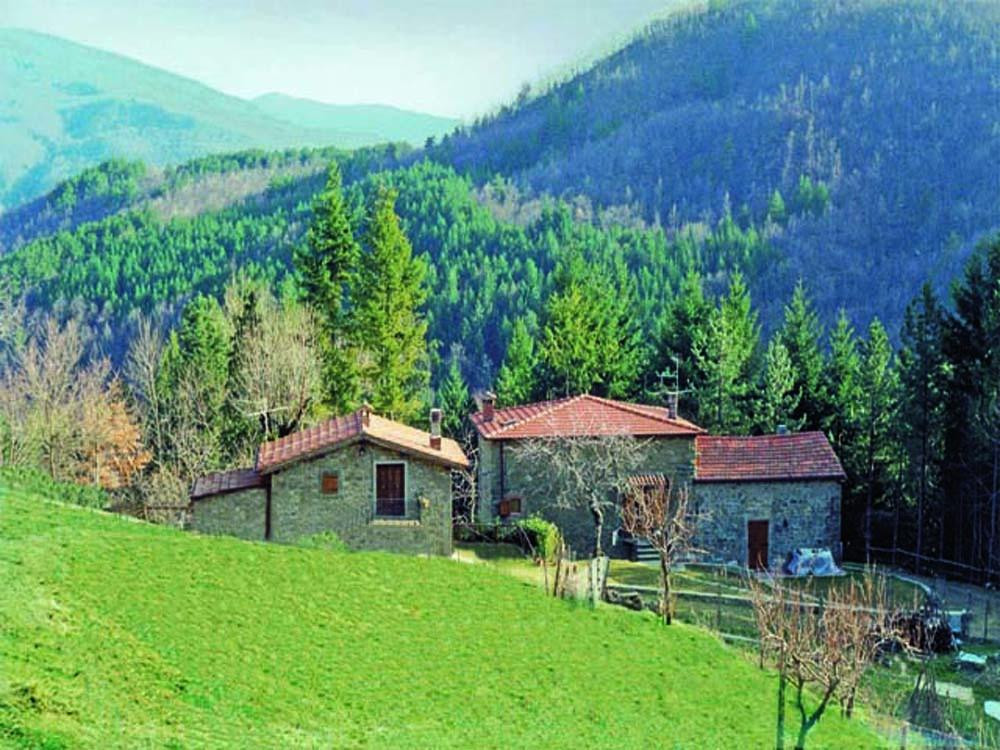 Casale Camalda - Organic Farm
