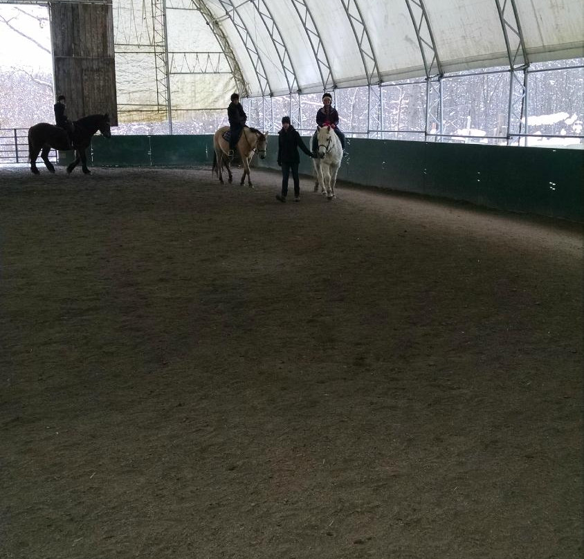 My Saddle Brook Farm-Walden必去景点