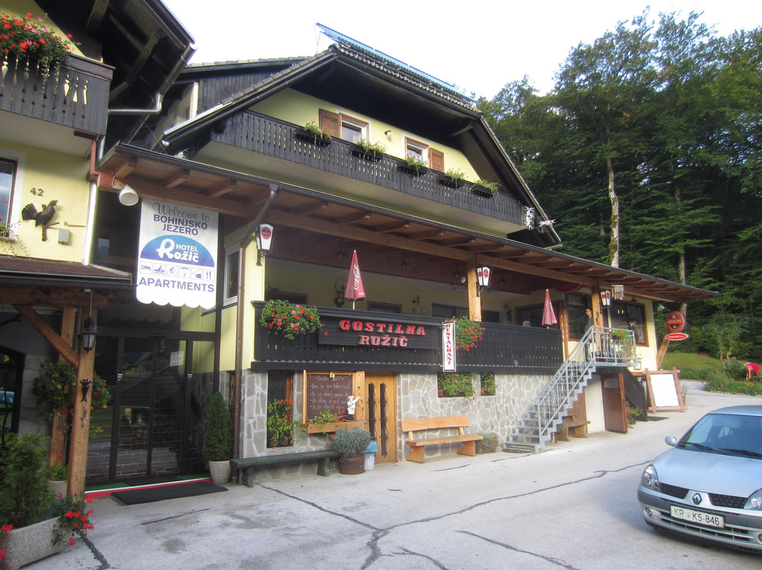 Pension Rozic主图