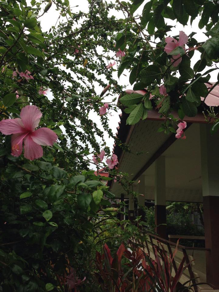 Rom Thai House-客卧