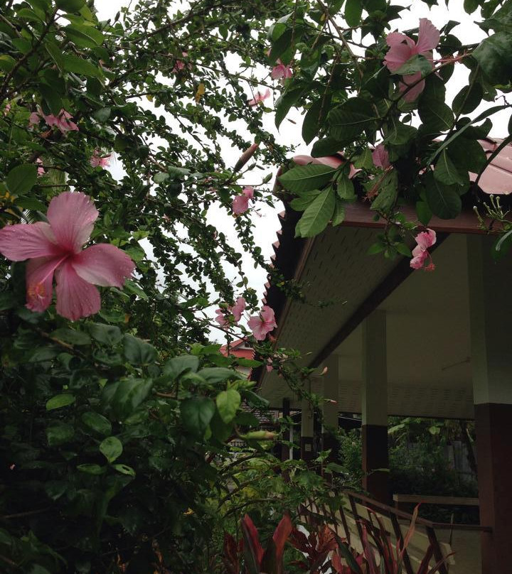 Rom Thai House主图