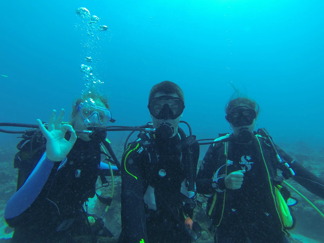 Man'balaou Club de Plongée-Saint Louis必去景点