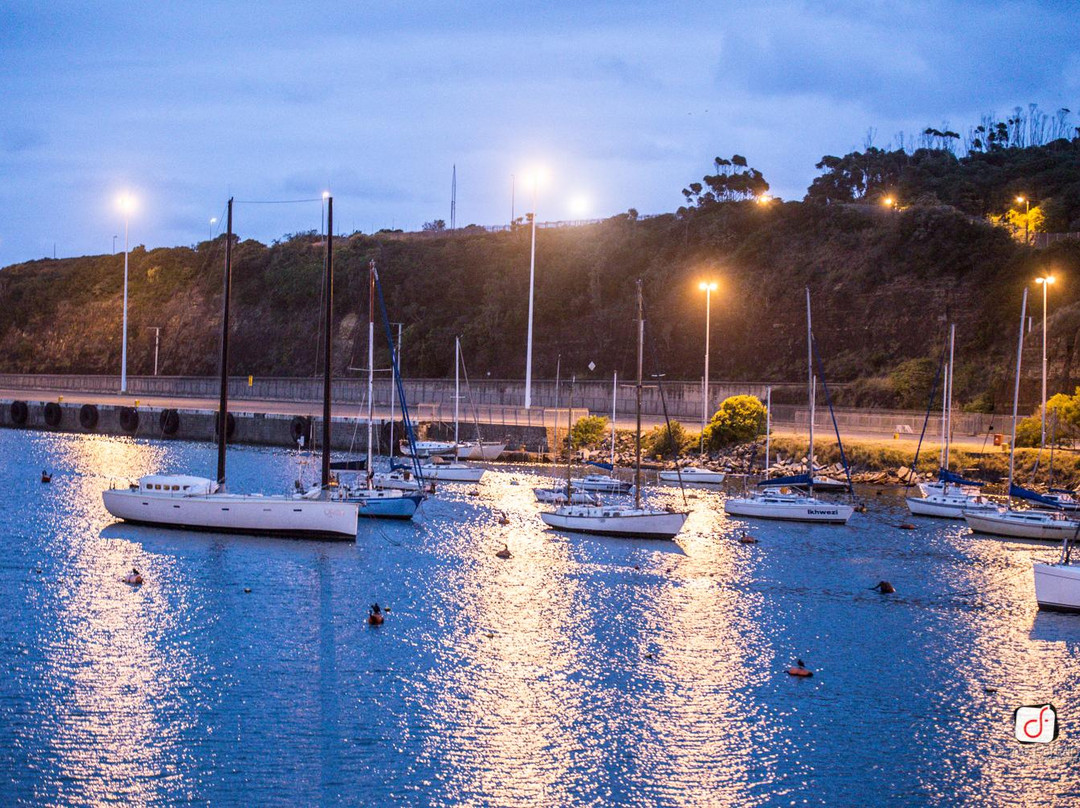 The Velvet Jazz Lounge-东伦敦必去景点