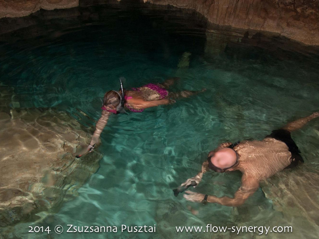 Flow-Kralendijk必去景点