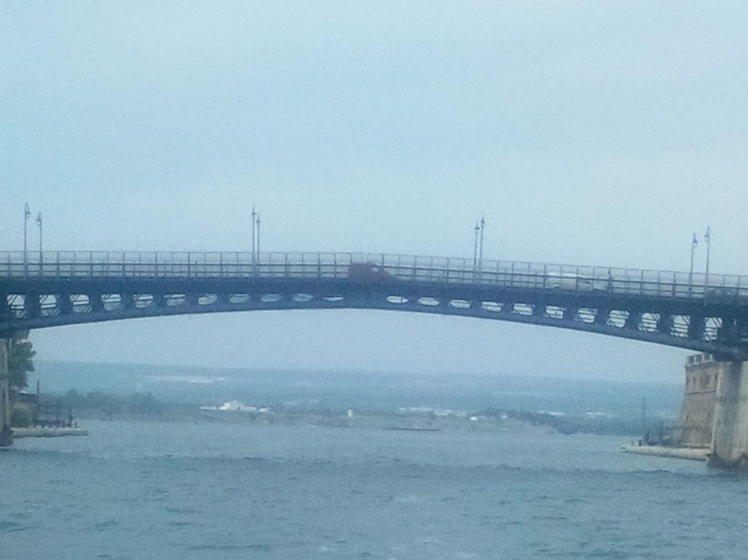 Jonian Dolphin Conservation-塔兰托必去景点