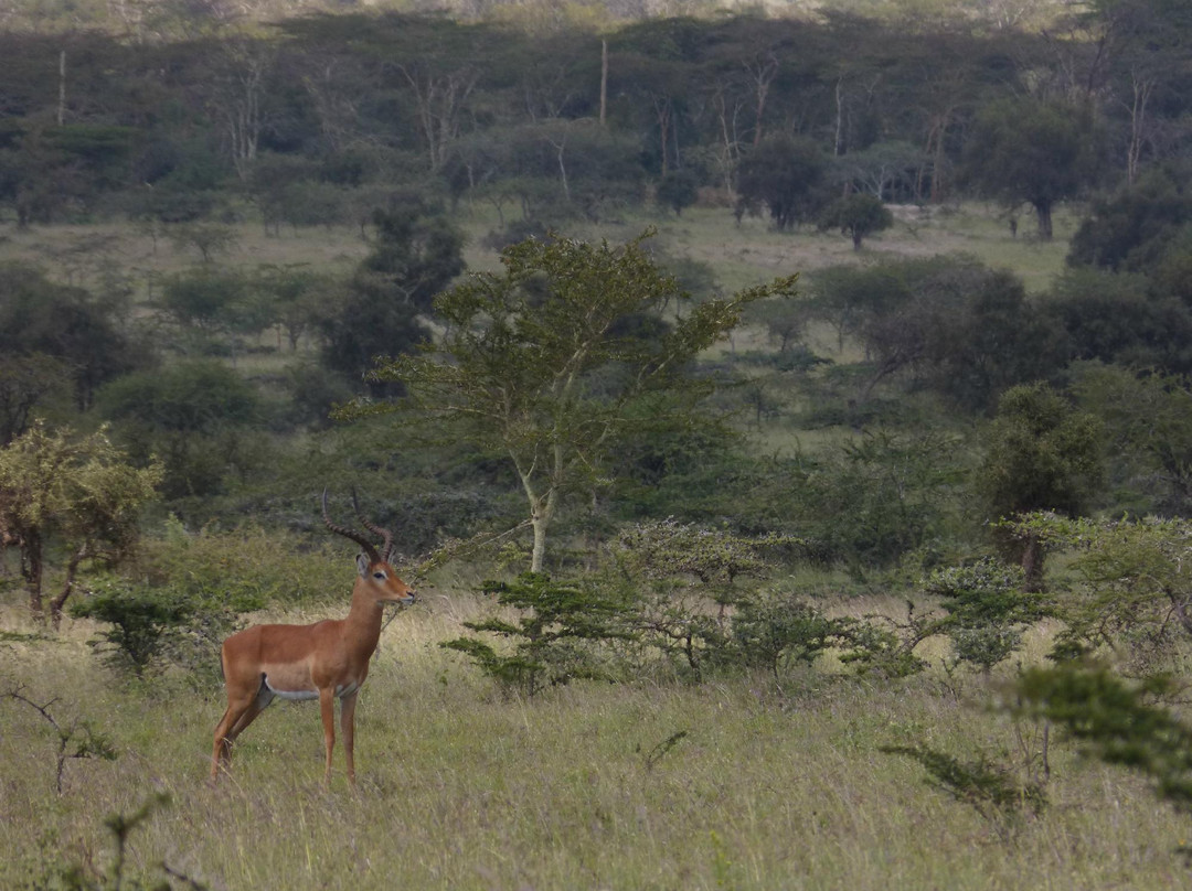 Maanzoni Sanctuary-Machakos必去景点