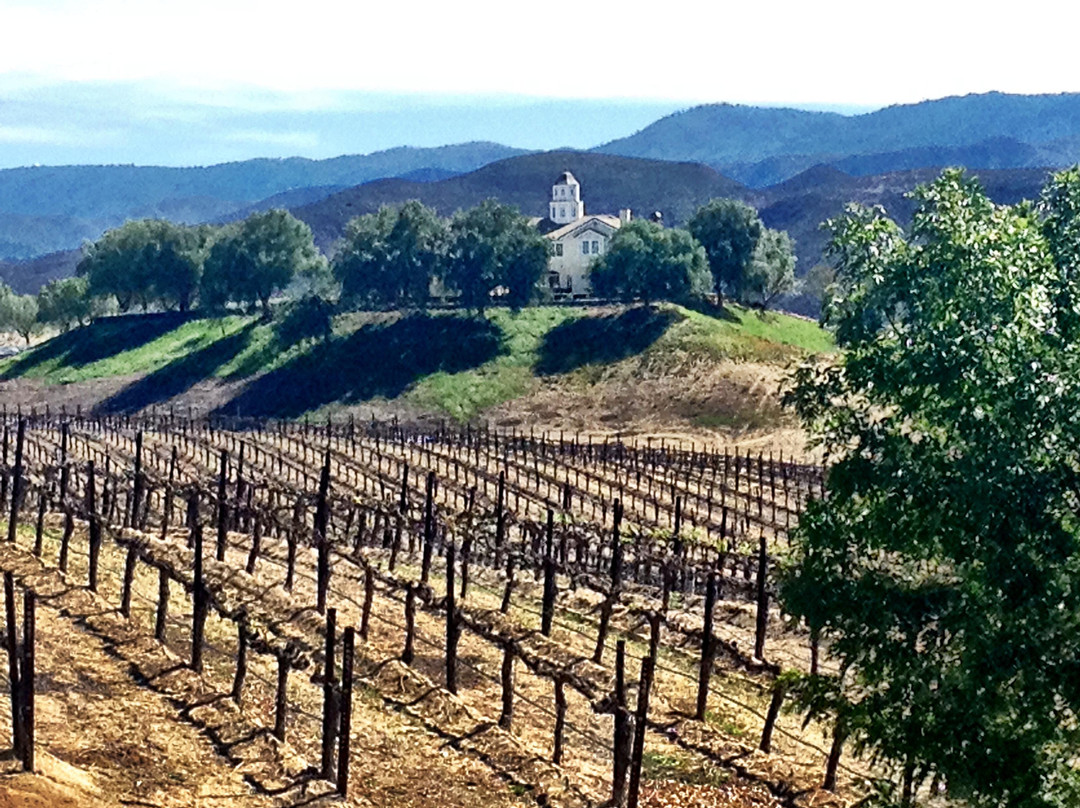 Leoness Cellars-特曼库拉必去景点