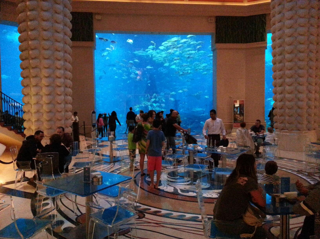 失落的密室水族馆-迪拜必去景点