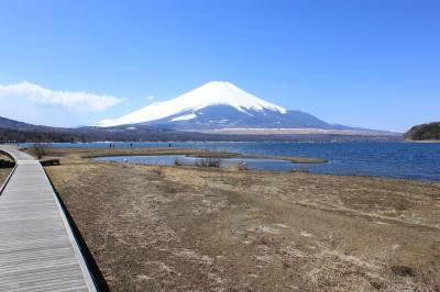 Lake Yamanaka Community Plaza Kirara景点图片