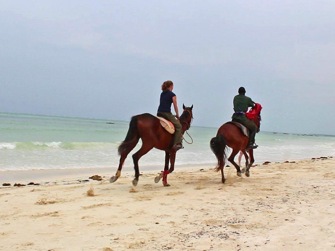 Maisha Mazuri Horse Riding Club-基万嘎必去景点