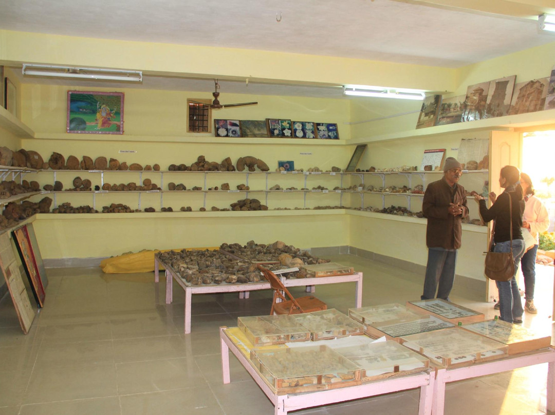 Kutch Fossil Park景点图片