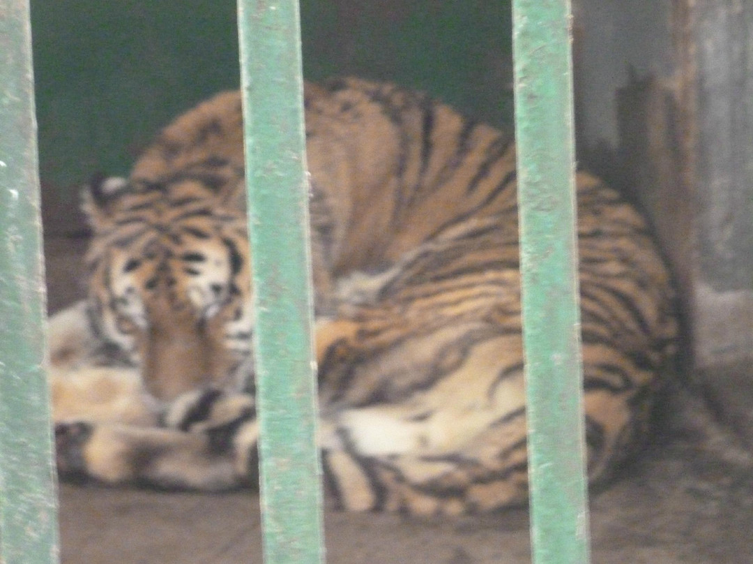 衡阳动物园-衡阳市必去景点