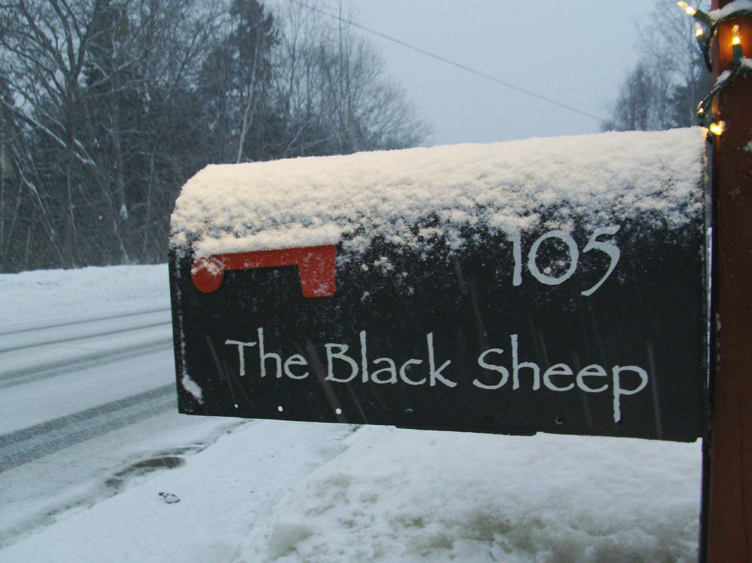 Black Sheep Wine and Beer Shop景点图片