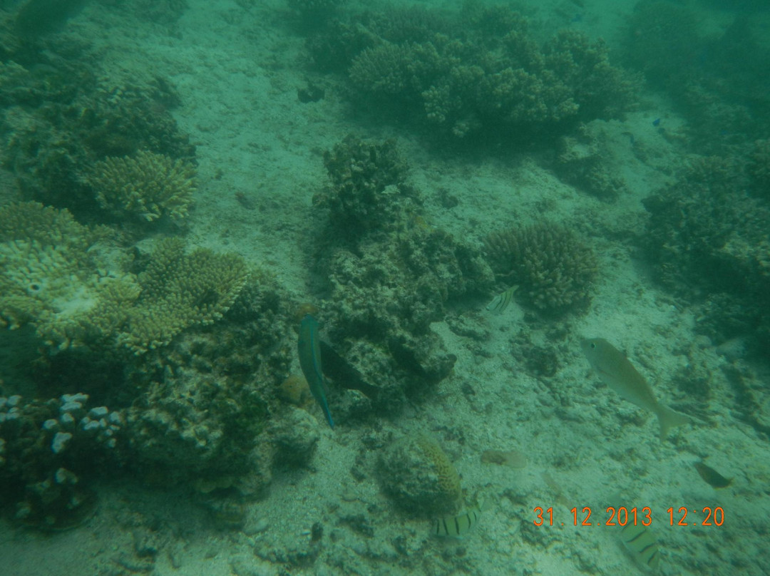 Oyster Stacks-埃克斯茅斯必去景点