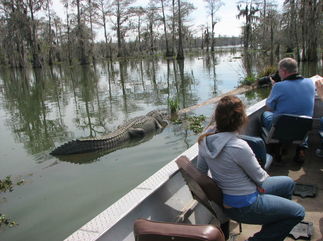 Cajun Country Swamp Tours景点图片