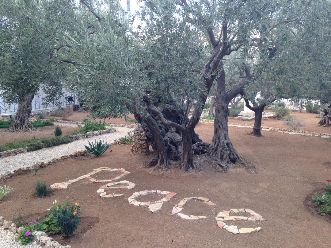 Tour Israel 4U Private Tours-耶路撒冷必去景点