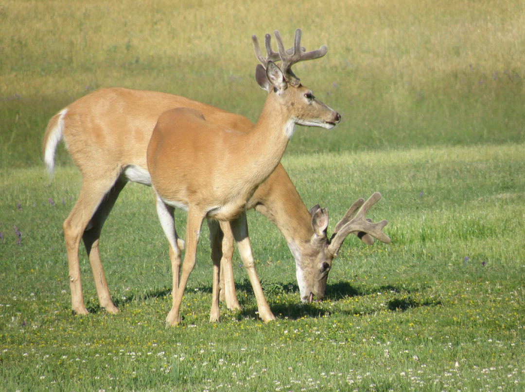 Ten Spoon Vineyard and Winery-米苏拉必去景点