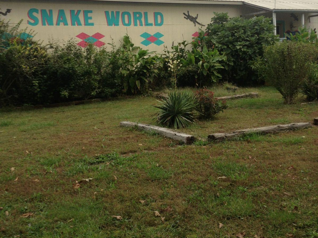 Snake World-Berryville必去景点