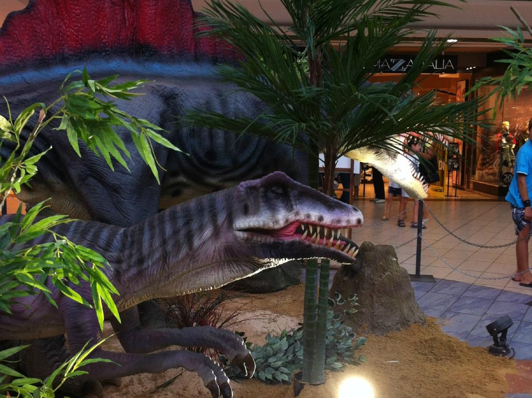 Centro Commerciale Katane景点图片