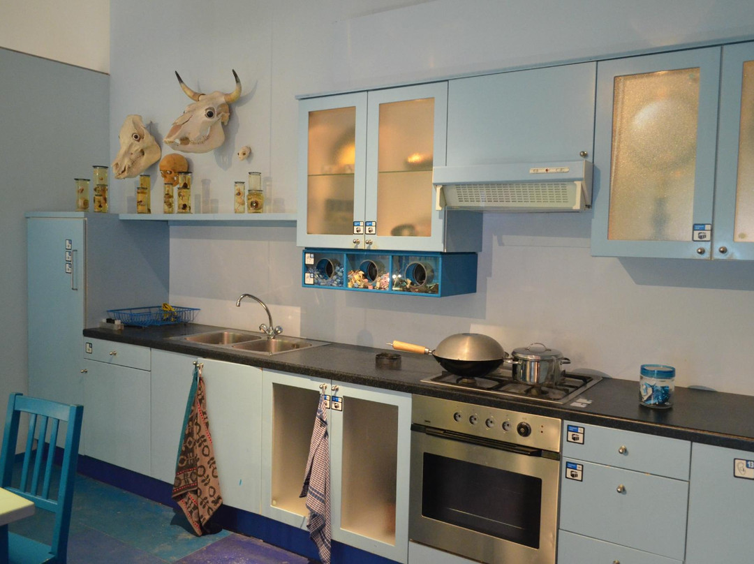 Universiteitsmuseum Utrecht-乌特勒支必去景点