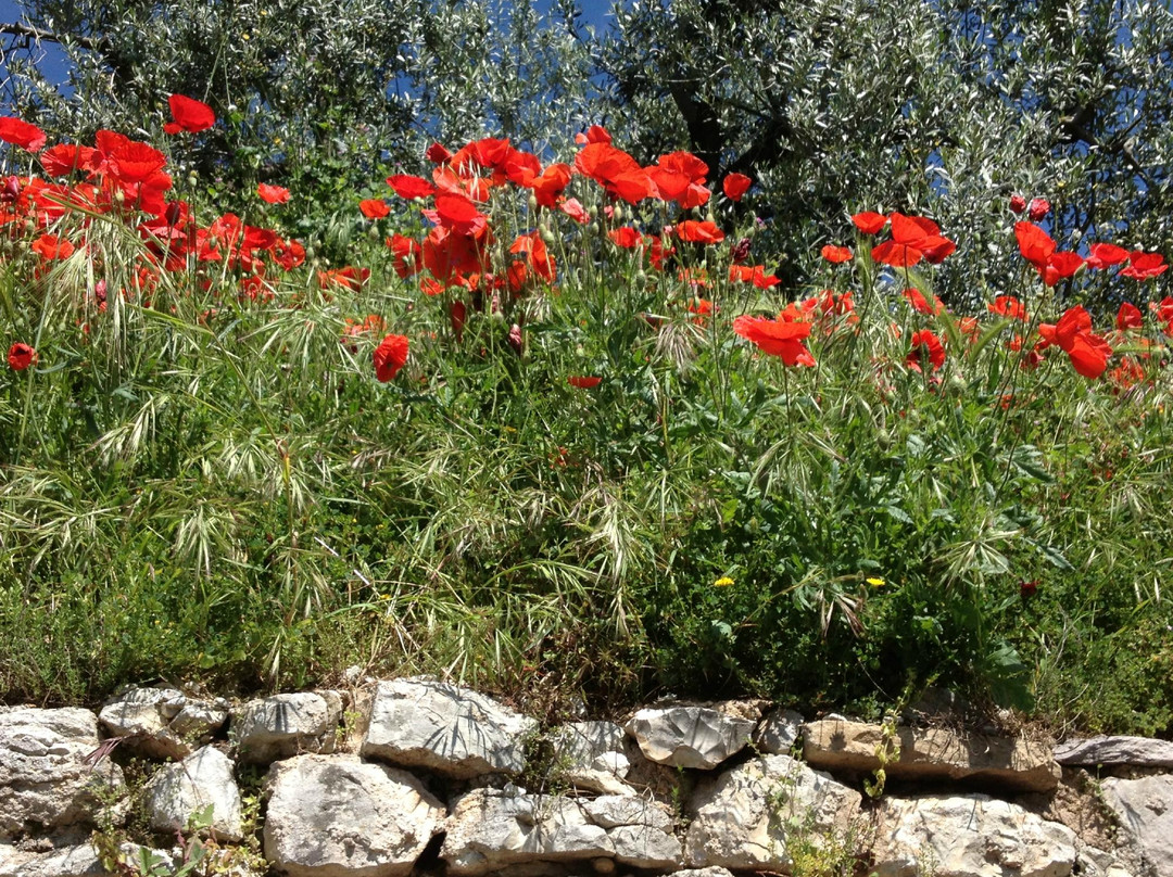 Living Italy-菲乌米奇诺必去景点