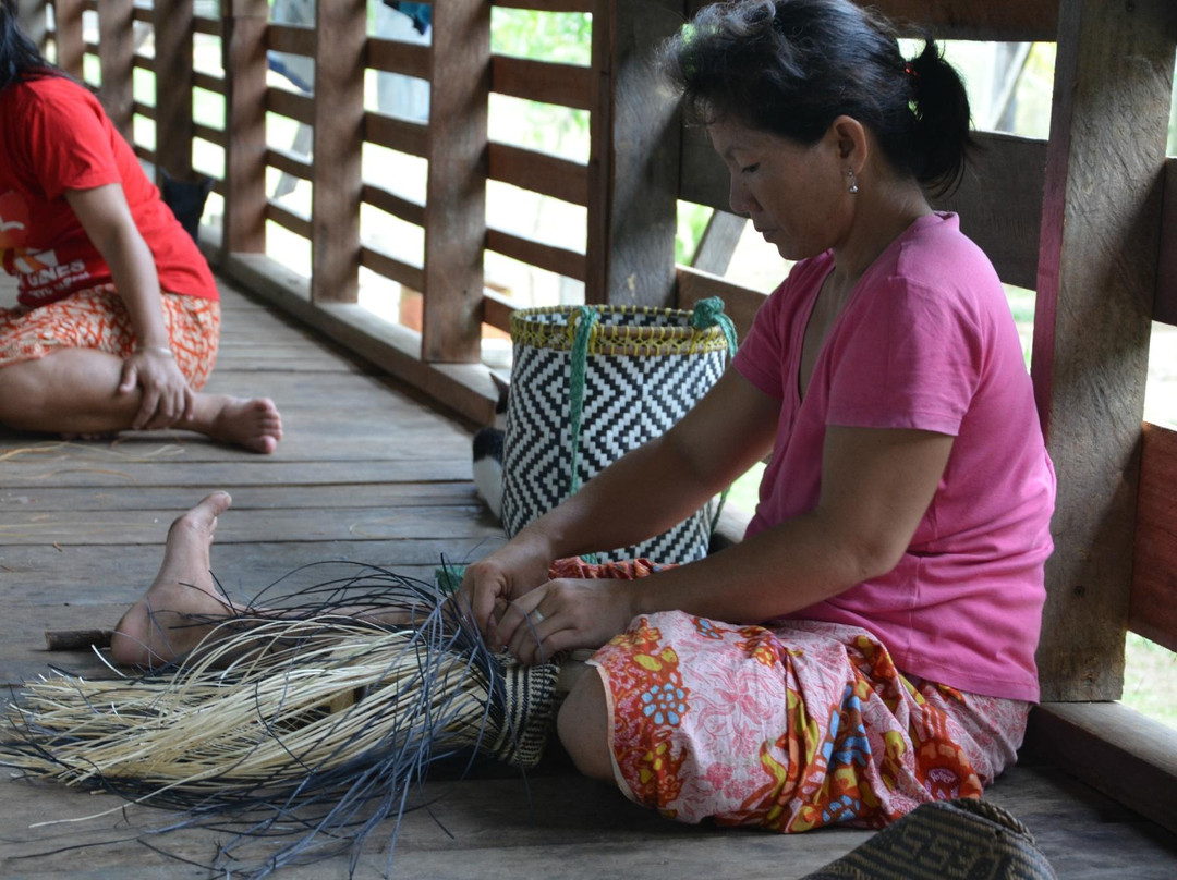 Penan Peace Park Long Kerong-美里必去景点