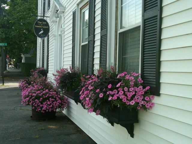 The Inn at Newburyport-官方