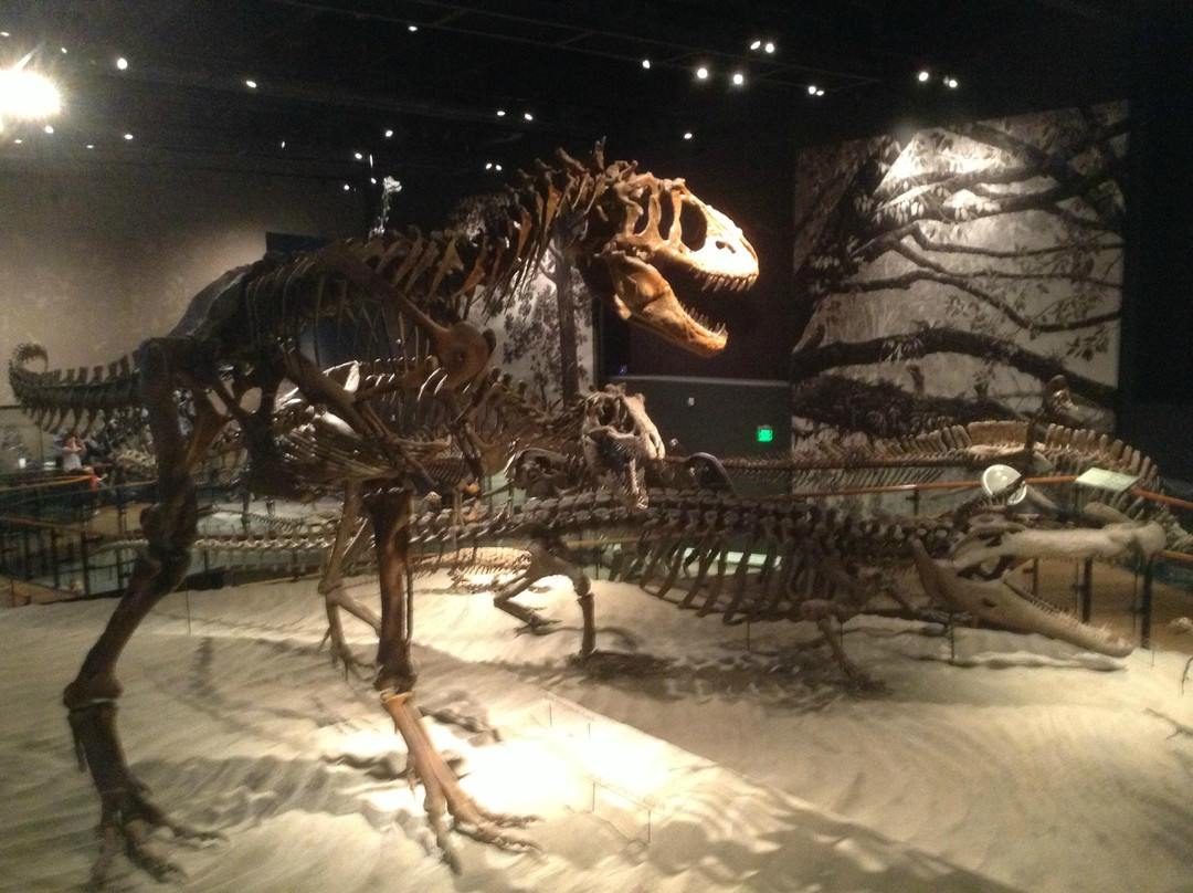 犹他州自然历史博物馆-盐湖城必去景点