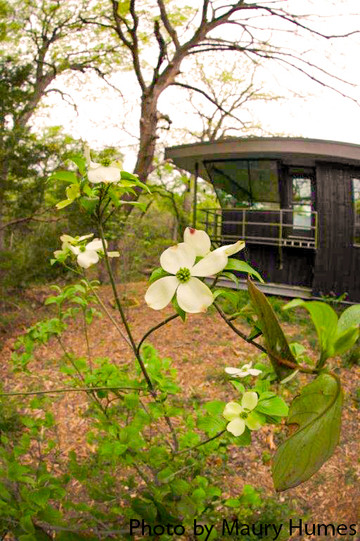 Dogwood Canyon Audubon Center at Cedar Hill-Cedar Hill必去景点
