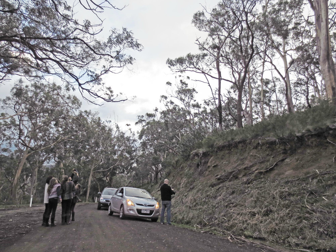 坎尼特河沿岸考拉步行道-坎尼特河必去景点
