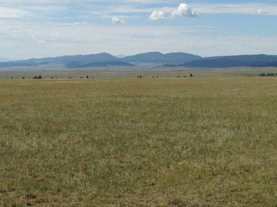 Platte Ranch Riding Stables-Fairplay必去景点