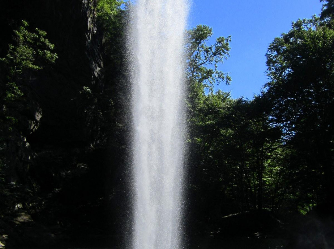 Ozone Falls State Natural Area景点图片