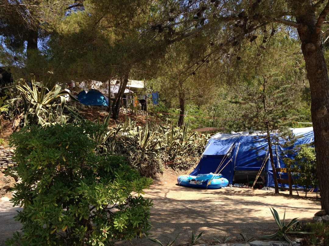 Camping Laconella景点图片