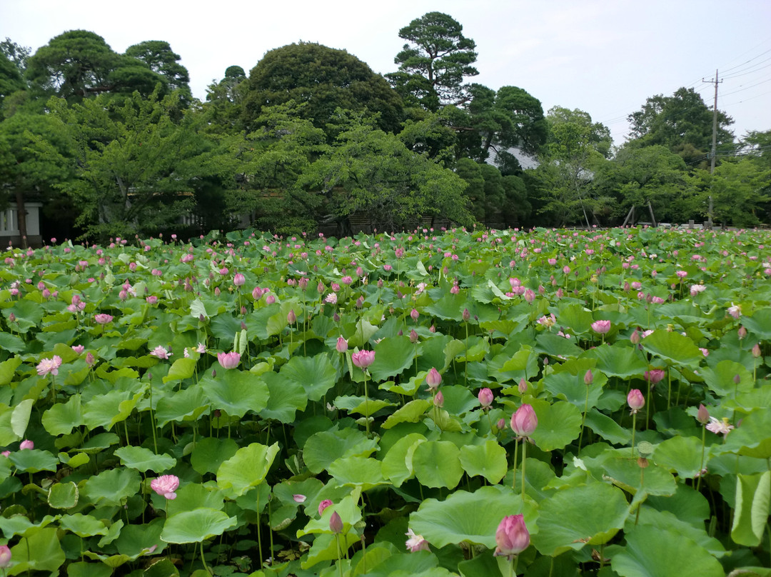 Toyama Memorial Museum of Art-川岛町必去景点