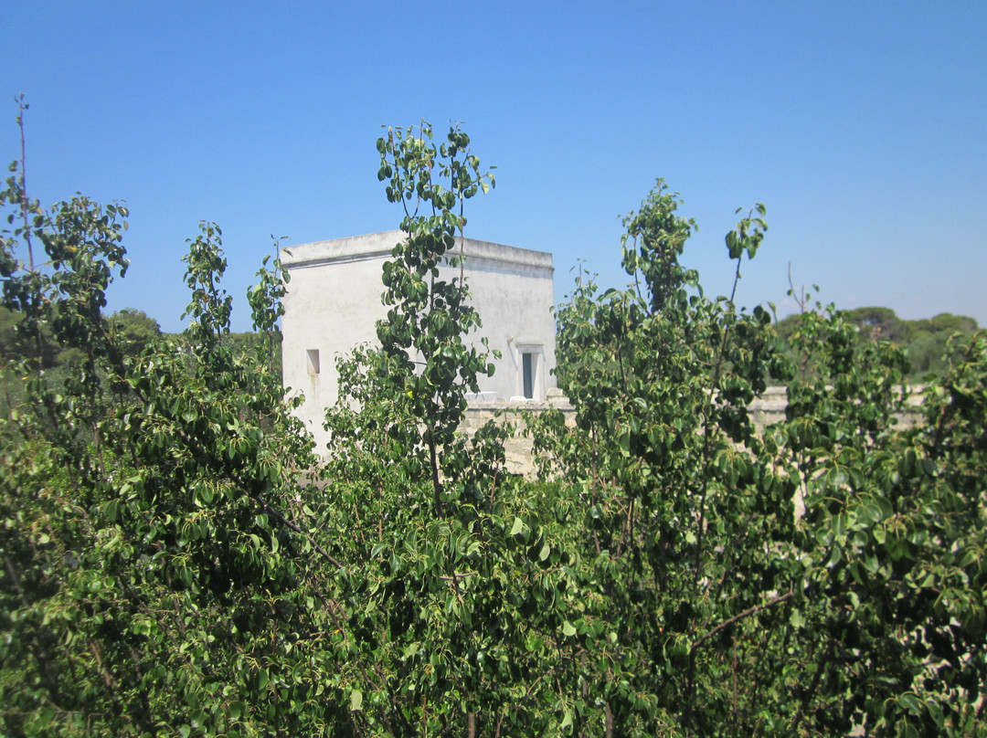 B&B Villa Chiara主图