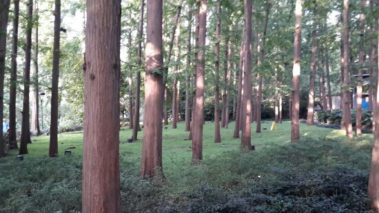 杭州西湖柳莺里酒店主图