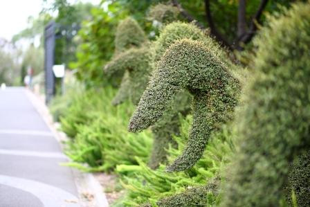 墨尔本皇家植物园-墨尔本必去景点
