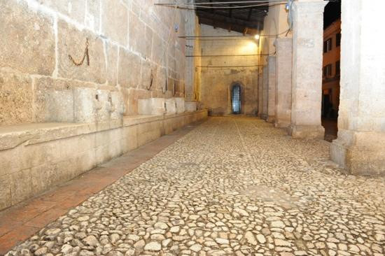Museo Civico e Diocesano La Castellina景点图片