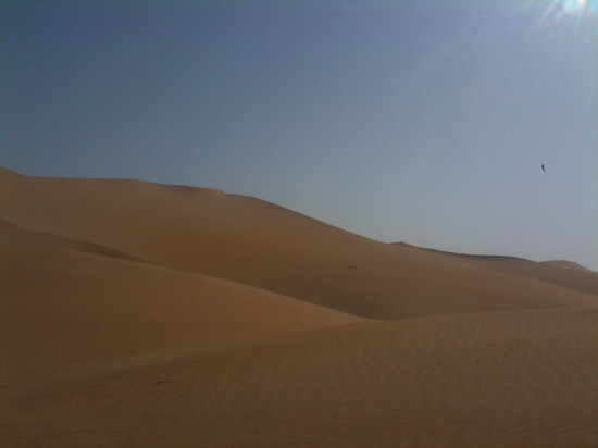 库布齐沙漠-鄂尔多斯市必去景点