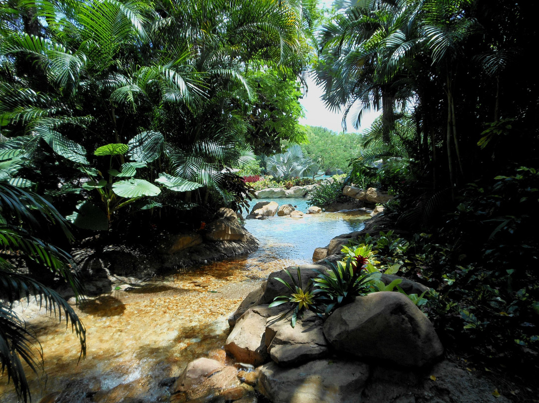 探索湾-奥兰多必去景点