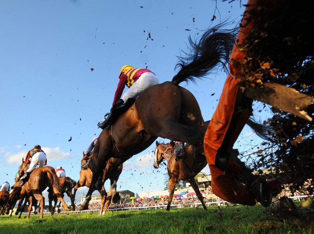 Killarney Races-基拉尼必去景点