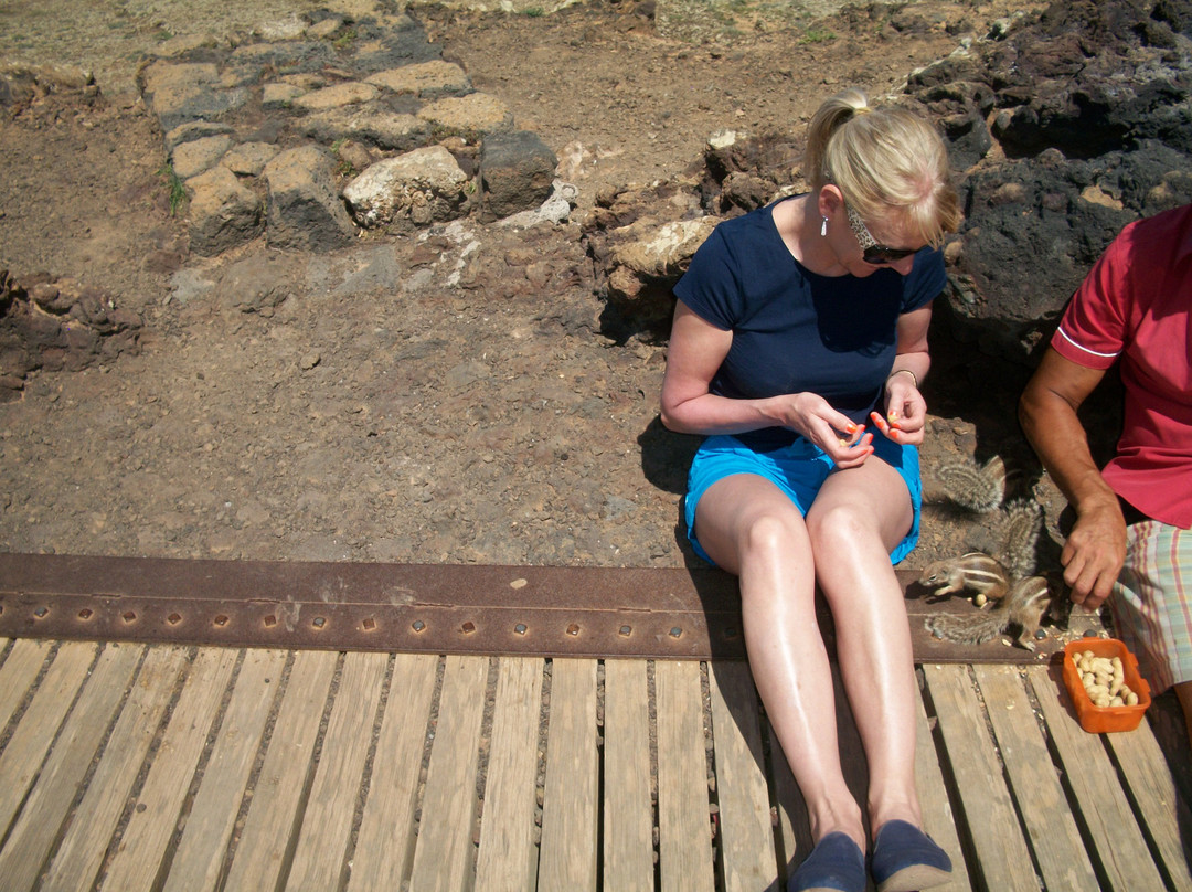 EEE Bikers-科拉雷侯必去景点