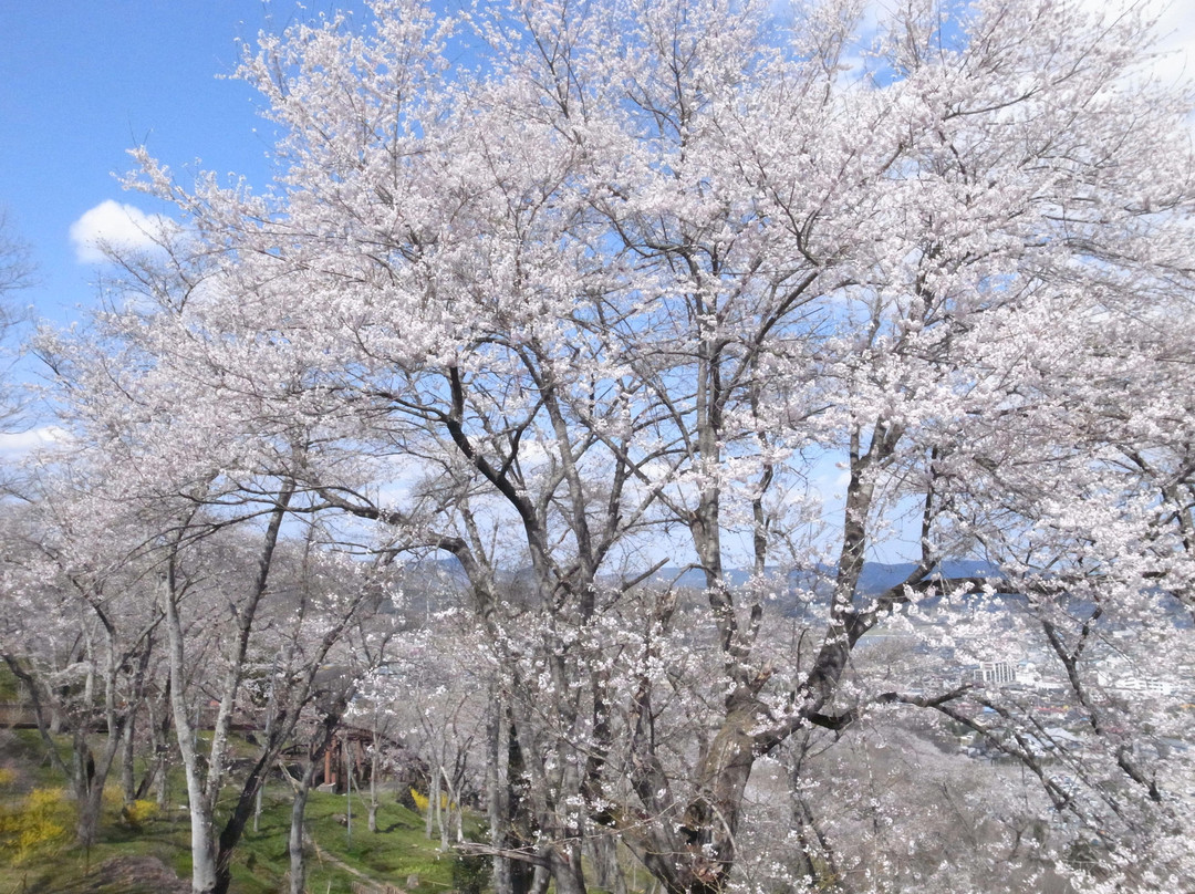 Funaoka Castle Ruins-柴田町必去景点