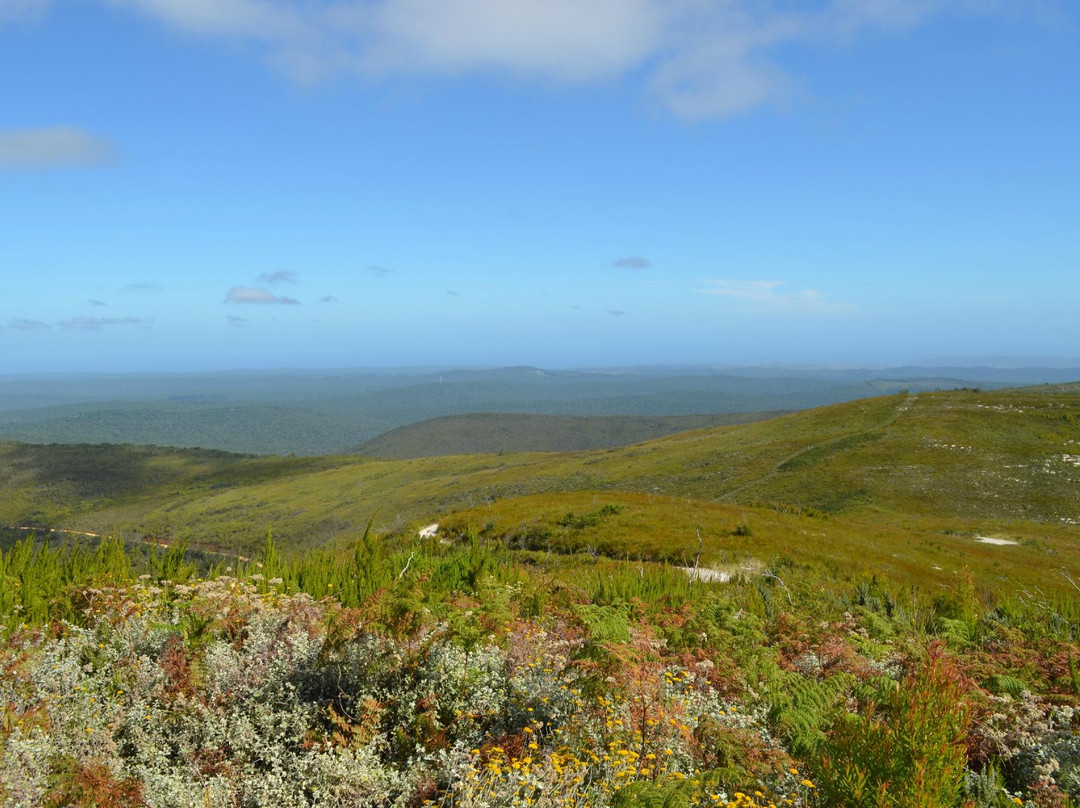 Spitzkop Viewpoint-克尼斯纳必去景点