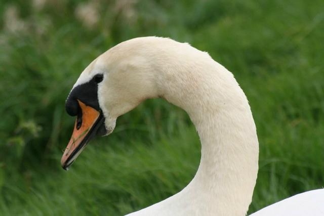 The Exe Valley Bed and Breakfast主图