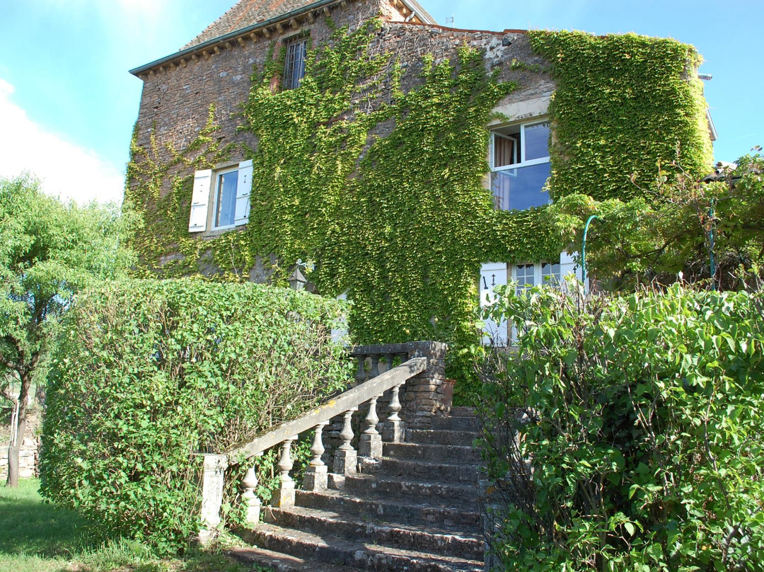 Leynes酒店住宿-Chateau de Leynes
