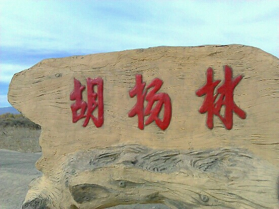 原始胡杨林-木垒哈萨克自治县必去景点